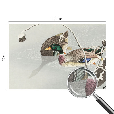 Vliesová fototapeta do obývačky Pokojné kačky