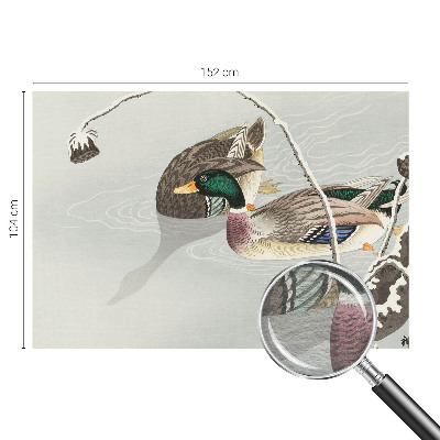 Vliesová fototapeta do obývačky Pokojné kačky