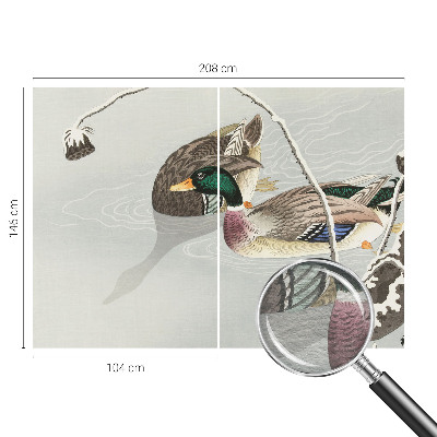 Vliesová fototapeta do obývačky Pokojné kačky