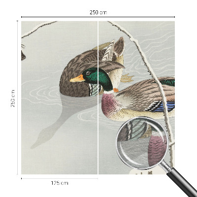 Vliesová fototapeta do obývačky Pokojné kačky