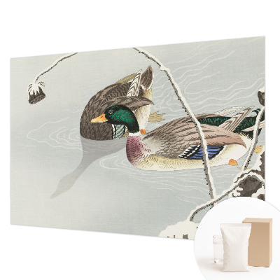 Vliesová fototapeta do obývačky Pokojné kačky