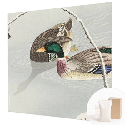 Vliesová fototapeta do obývačky Pokojné kačky