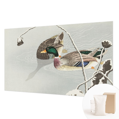 Vliesová fototapeta do obývačky Pokojné kačky