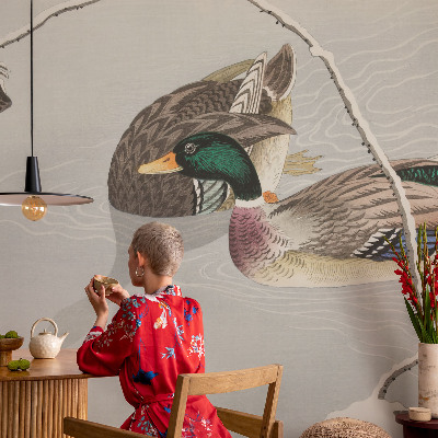 Vliesová fototapeta do obývačky Pokojné kačky