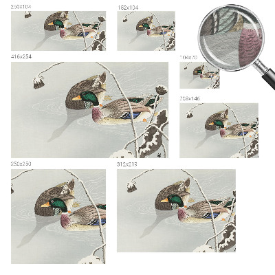 Vliesová fototapeta do obývačky Pokojné kačky