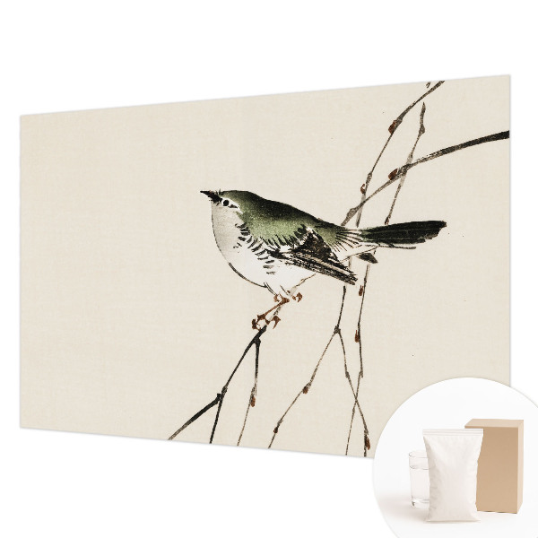 Fototapeta s potlačou na vliese Harmonický vták