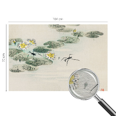 Moderná fototapeta Pokojná voda