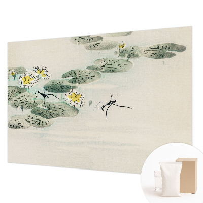 Moderná fototapeta Pokojná voda