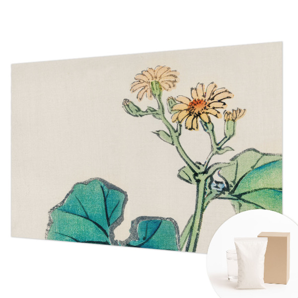 Tapeta na stenu Kvet a listy