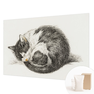 Tapeta Rozkošná mačička