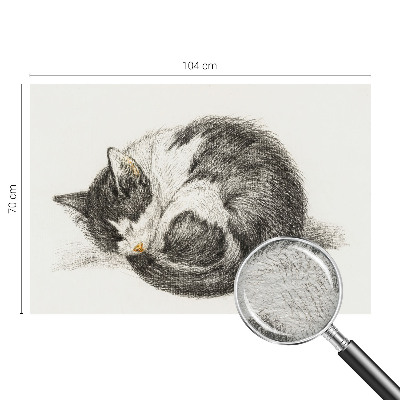 Tapeta Rozkošná mačička