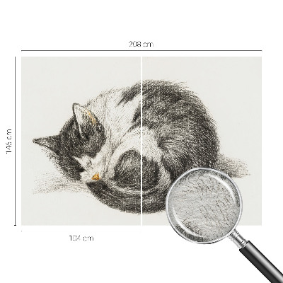 Tapeta Rozkošná mačička