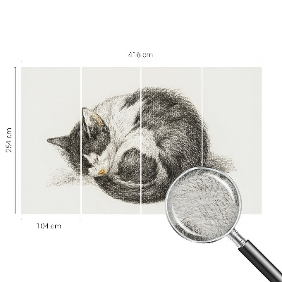 Tapeta Rozkošná mačička