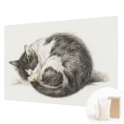 Tapeta Rozkošná mačička