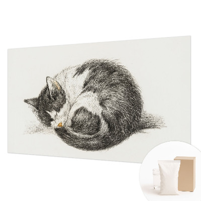 Tapeta Rozkošná mačička