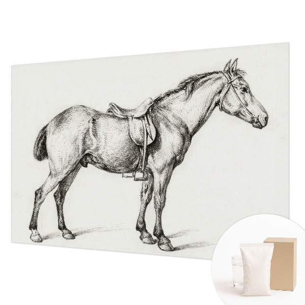 Vliesová fototapeta Náčrt koňa