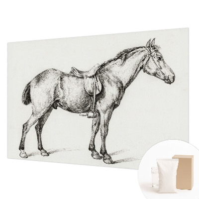Vliesová fototapeta Náčrt koňa
