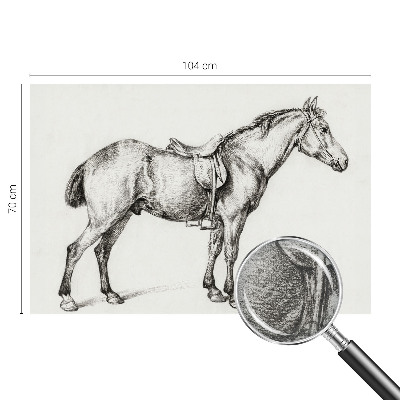 Vliesová fototapeta Náčrt koňa