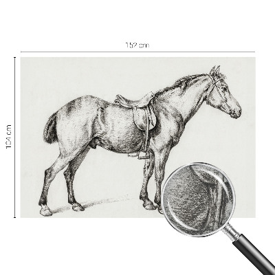 Vliesová fototapeta Náčrt koňa