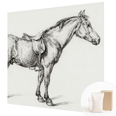 Vliesová fototapeta Náčrt koňa