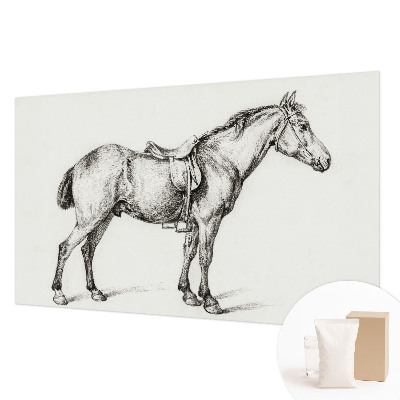 Vliesová fototapeta Náčrt koňa