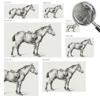 Vliesová fototapeta Náčrt koňa