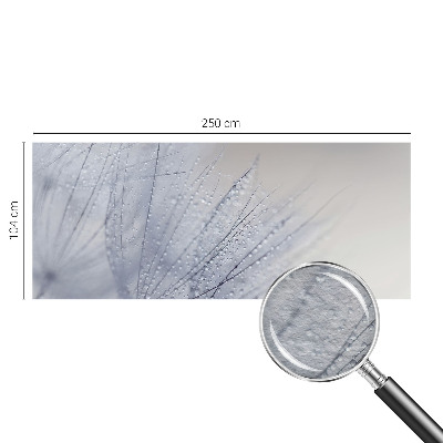 Fototapeta na stenu Rosná púpava