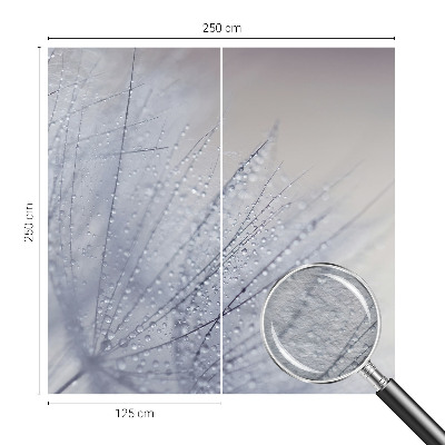 Fototapeta na stenu Rosná púpava