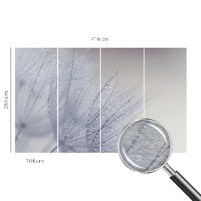 Fototapeta na stenu Rosná púpava