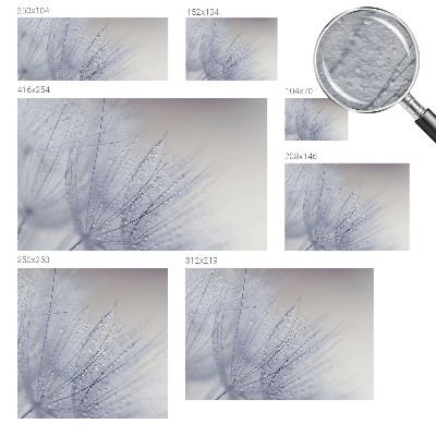 Fototapeta na stenu Rosná púpava