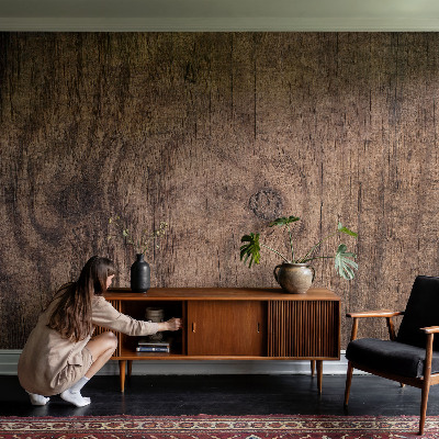 Fotografická tapeta na vliese Rustikálne drevo