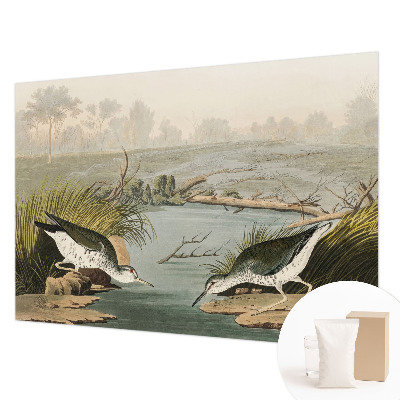 Tapeta na stenu Pokojná krajina