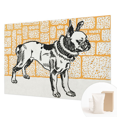 Moderná fototapeta Retro pes