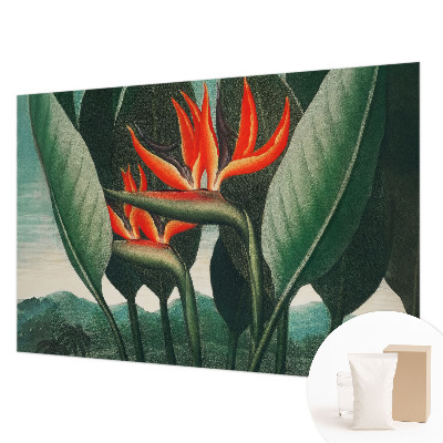 Vliesová fototapeta Exotické kvety