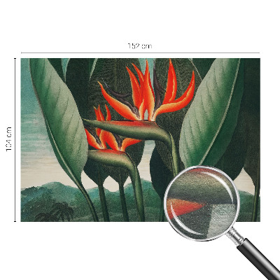 Vliesová fototapeta Exotické kvety