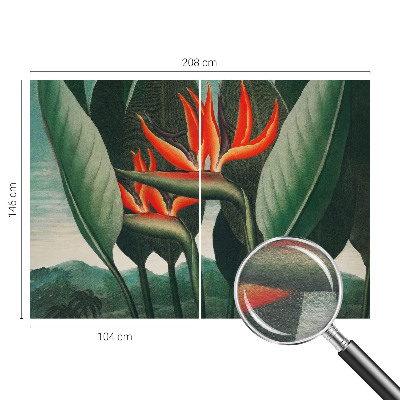 Vliesová fototapeta Exotické kvety