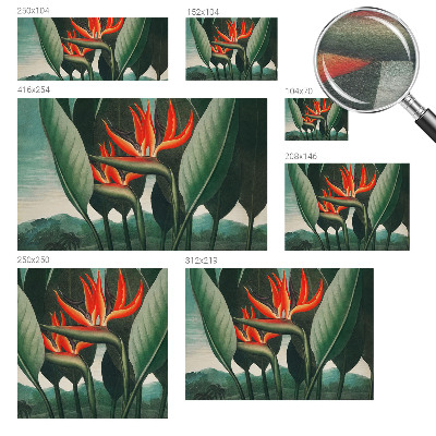 Vliesová fototapeta Exotické kvety