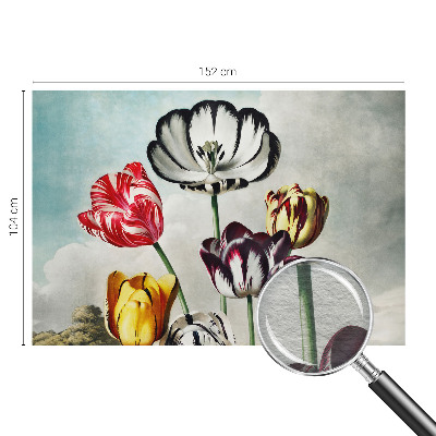 Tapeta na stenu Farebné tulipány