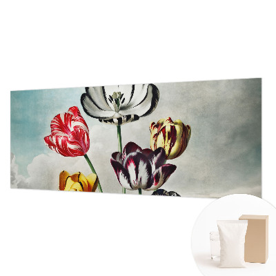 Tapeta na stenu Farebné tulipány