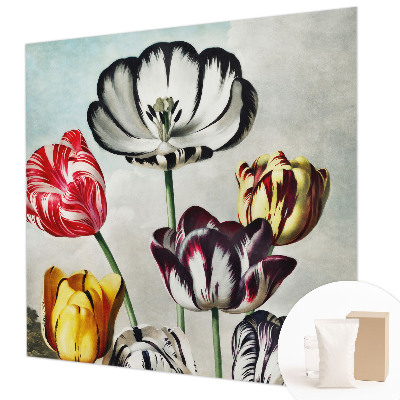 Tapeta na stenu Farebné tulipány