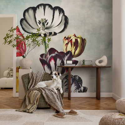 Tapeta na stenu Farebné tulipány