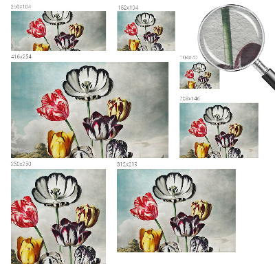 Tapeta na stenu Farebné tulipány