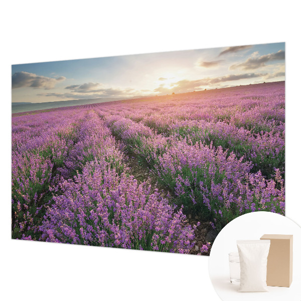 Fototapeta s potlačou na vliese Levanduľové polia