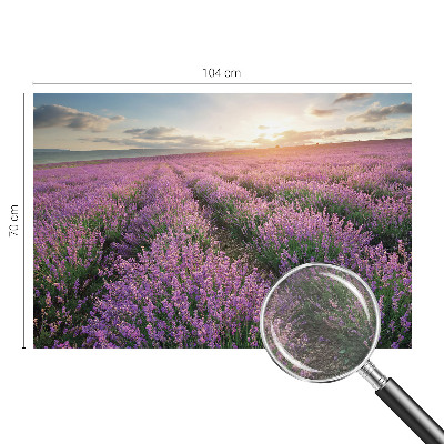 Fototapeta s potlačou na vliese Levanduľové polia