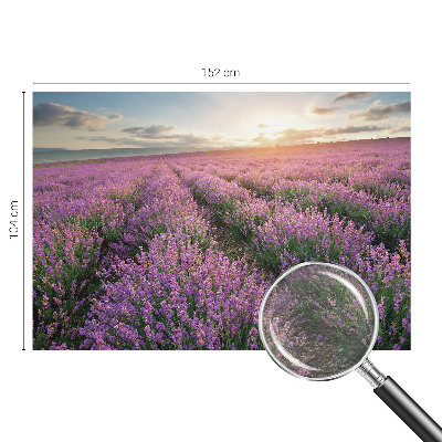 Fototapeta s potlačou na vliese Levanduľové polia