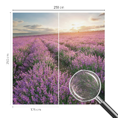 Fototapeta s potlačou na vliese Levanduľové polia