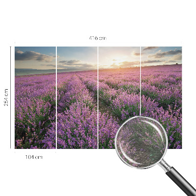 Fototapeta s potlačou na vliese Levanduľové polia