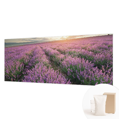 Fototapeta s potlačou na vliese Levanduľové polia