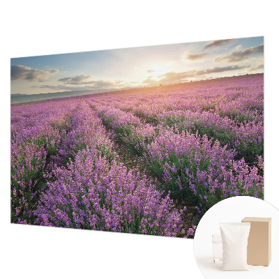 Fototapeta s potlačou na vliese Levanduľové polia