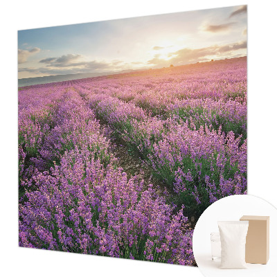 Fototapeta s potlačou na vliese Levanduľové polia